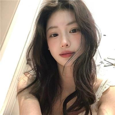 哈吉布基的森林冒险