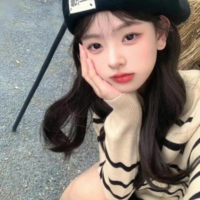 没人瞭波斯猫